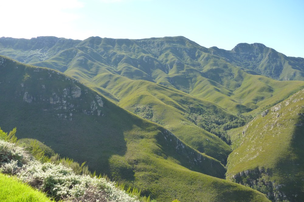 Are we in New Zealand?