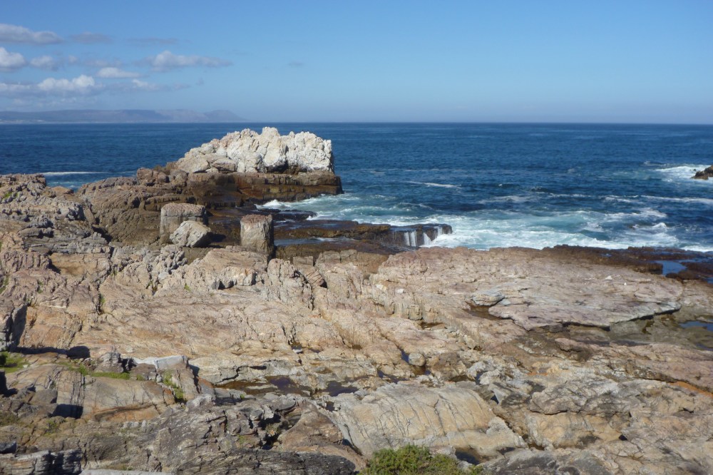 Hermanus -- whaleless