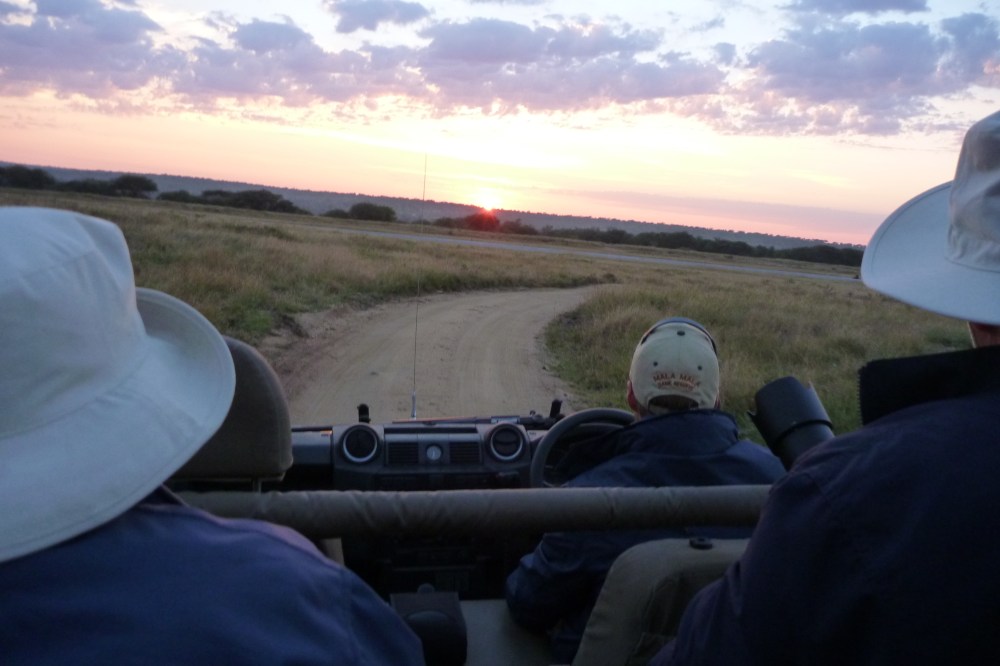 Gary spots a lion on the tarmac as the sun is rising