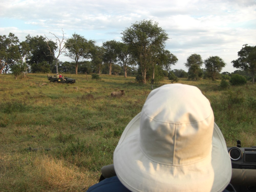 tracking him through the bush