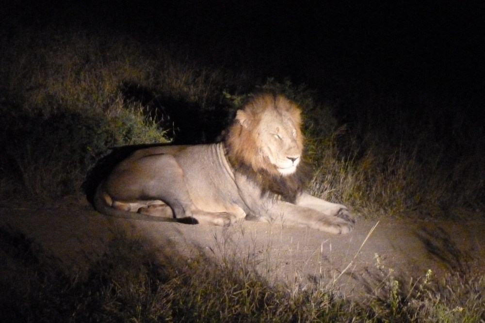 hey, do you mind with the light?