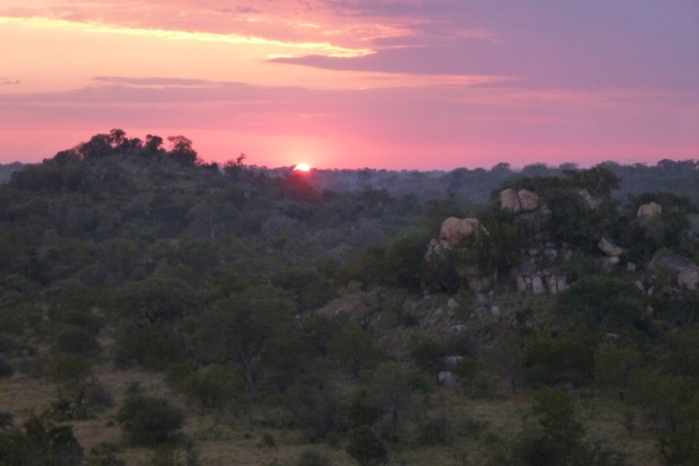 sunrise in the bush veld
