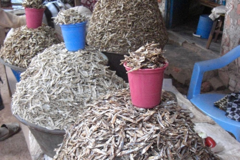 dried fish