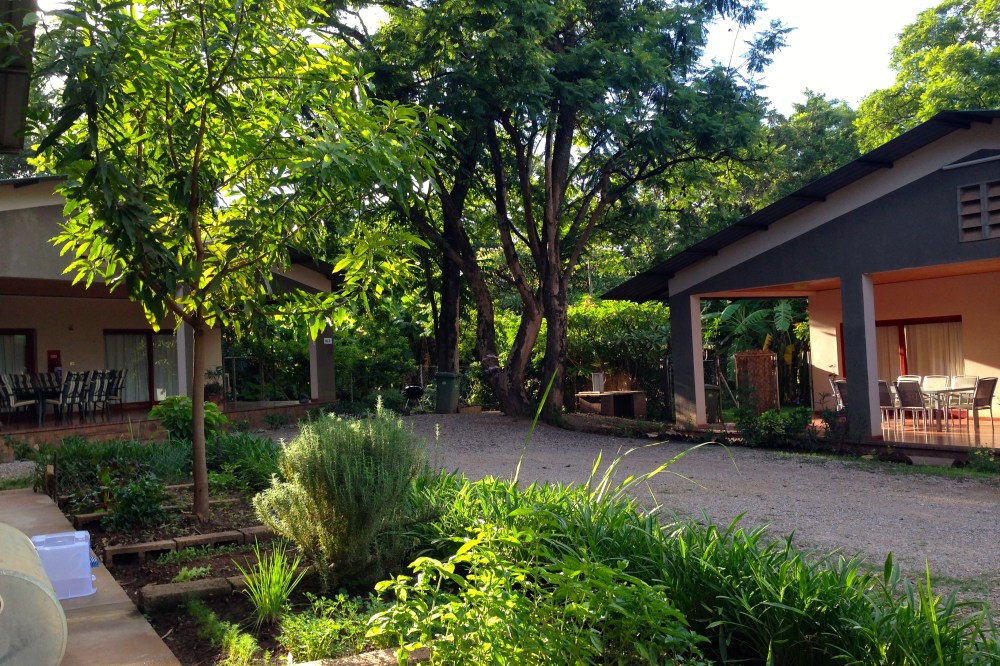 (December) Looking out past our herb garden into the green, green neighborhood, just after our return from the vast deserts of Namibia