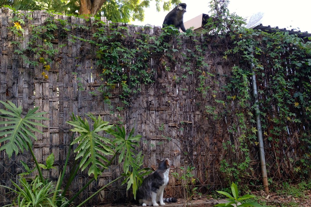 (April) Lucy and Zawadi checking each other out