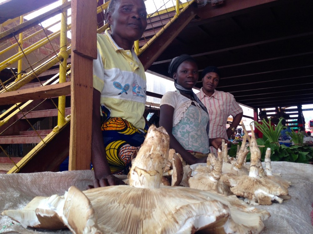 Women selling mushrooms.