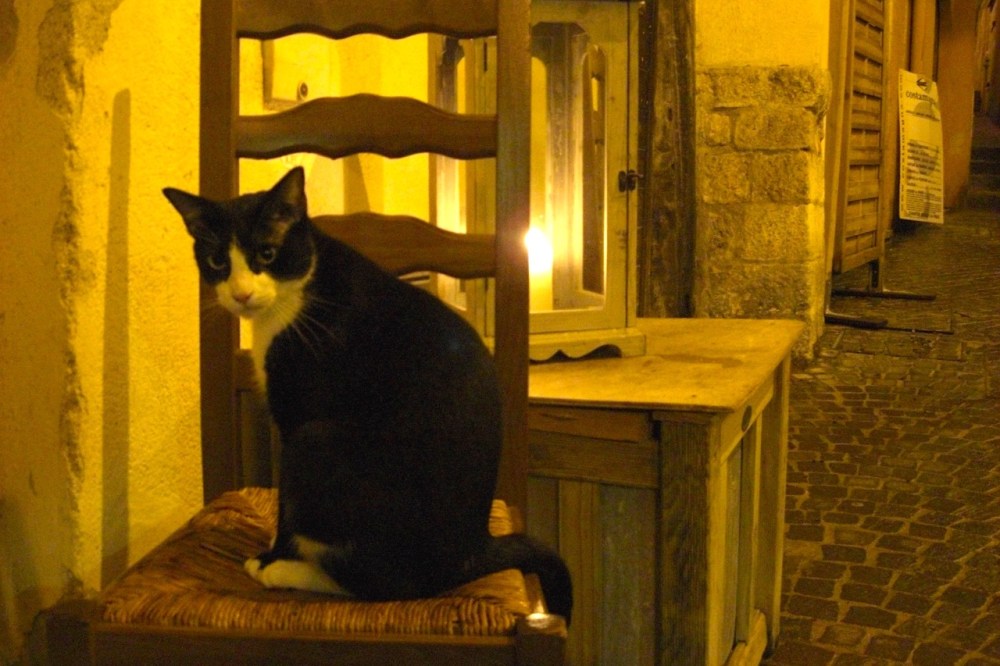 The waterfront was lovely, but in the end it was the back streets that stole my heart...