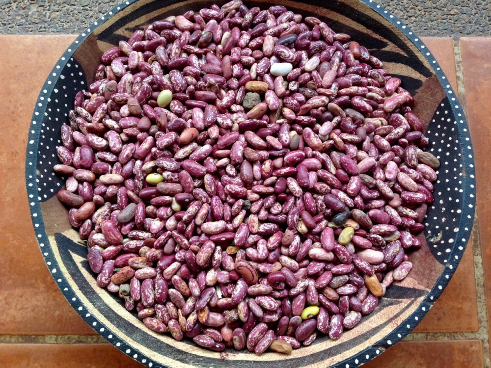 Beans and lots of other things