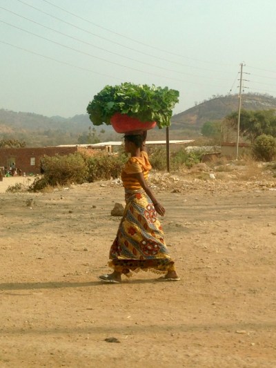 Beautiful greens (and posture).
